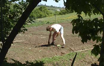 jardin biologique
